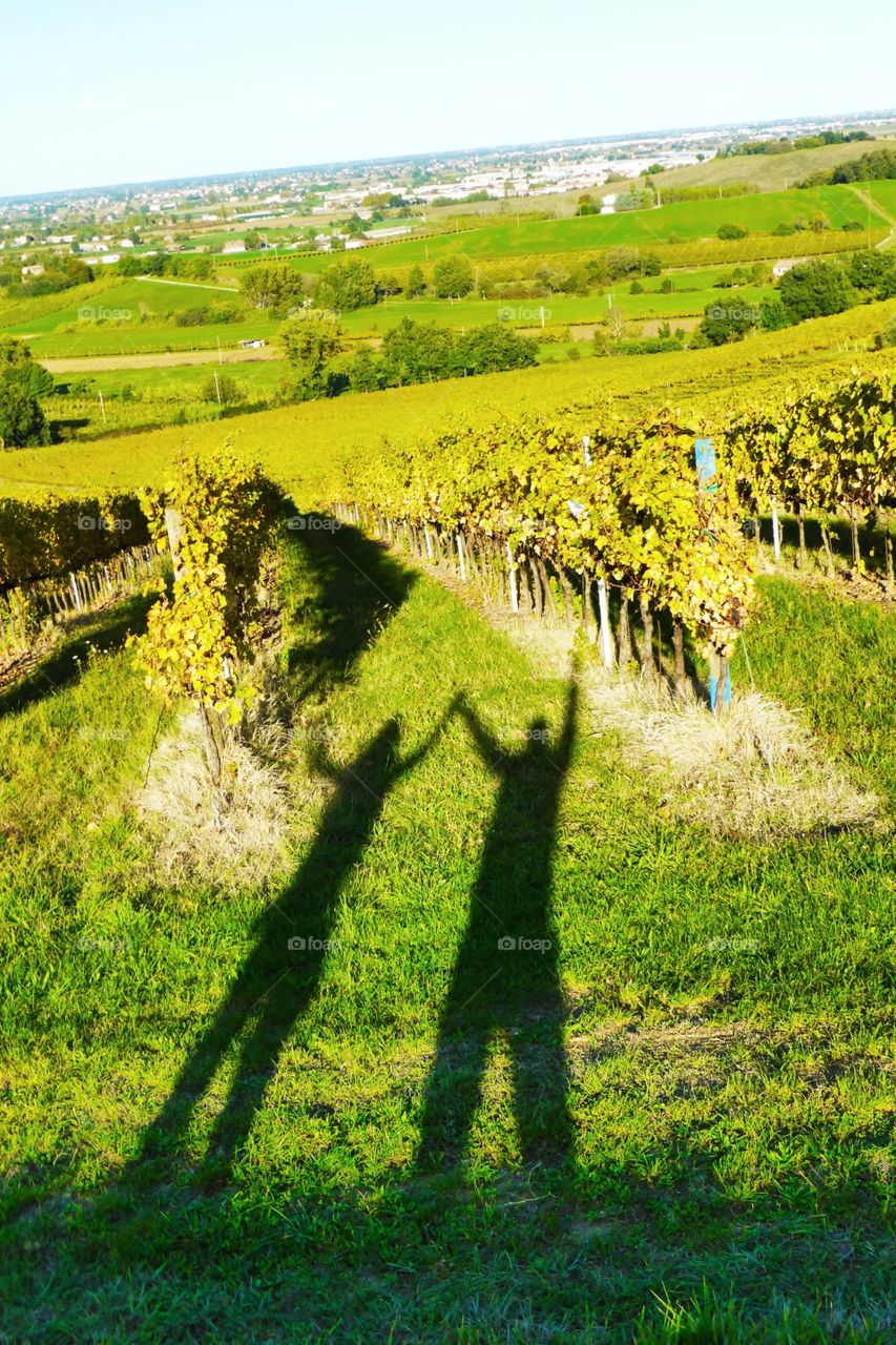 Shadow on a green field. Shadow on a green field at autumn time