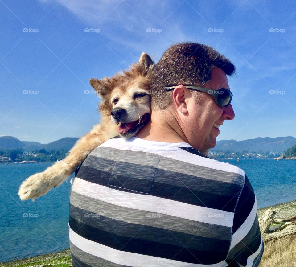 Man carries his tired senior dog during a walk on the ocean