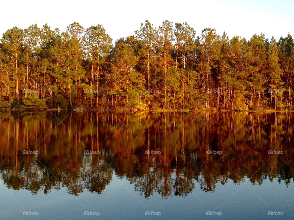 Lake reflections 