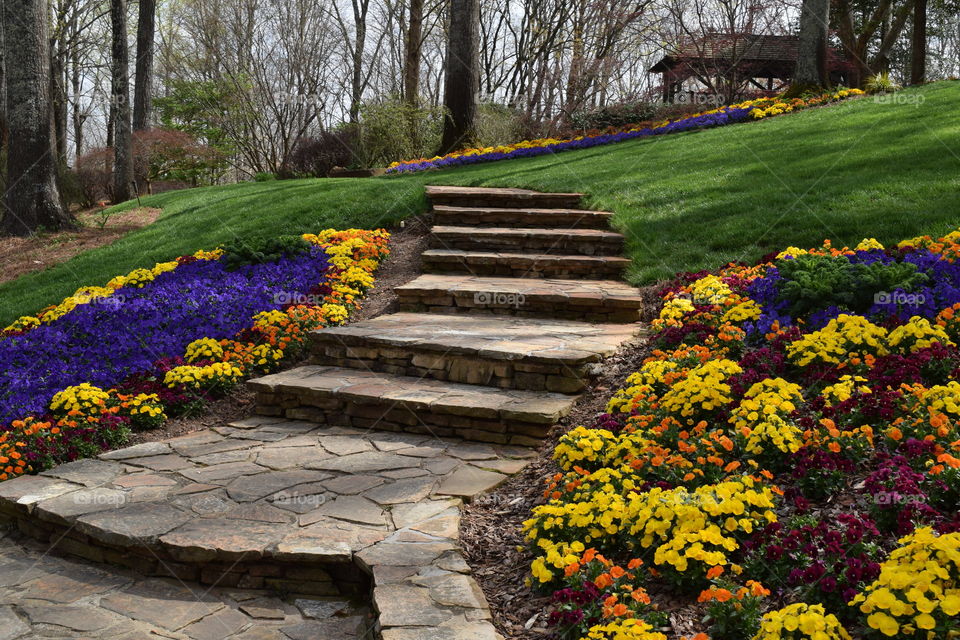 Flowers up a walkway