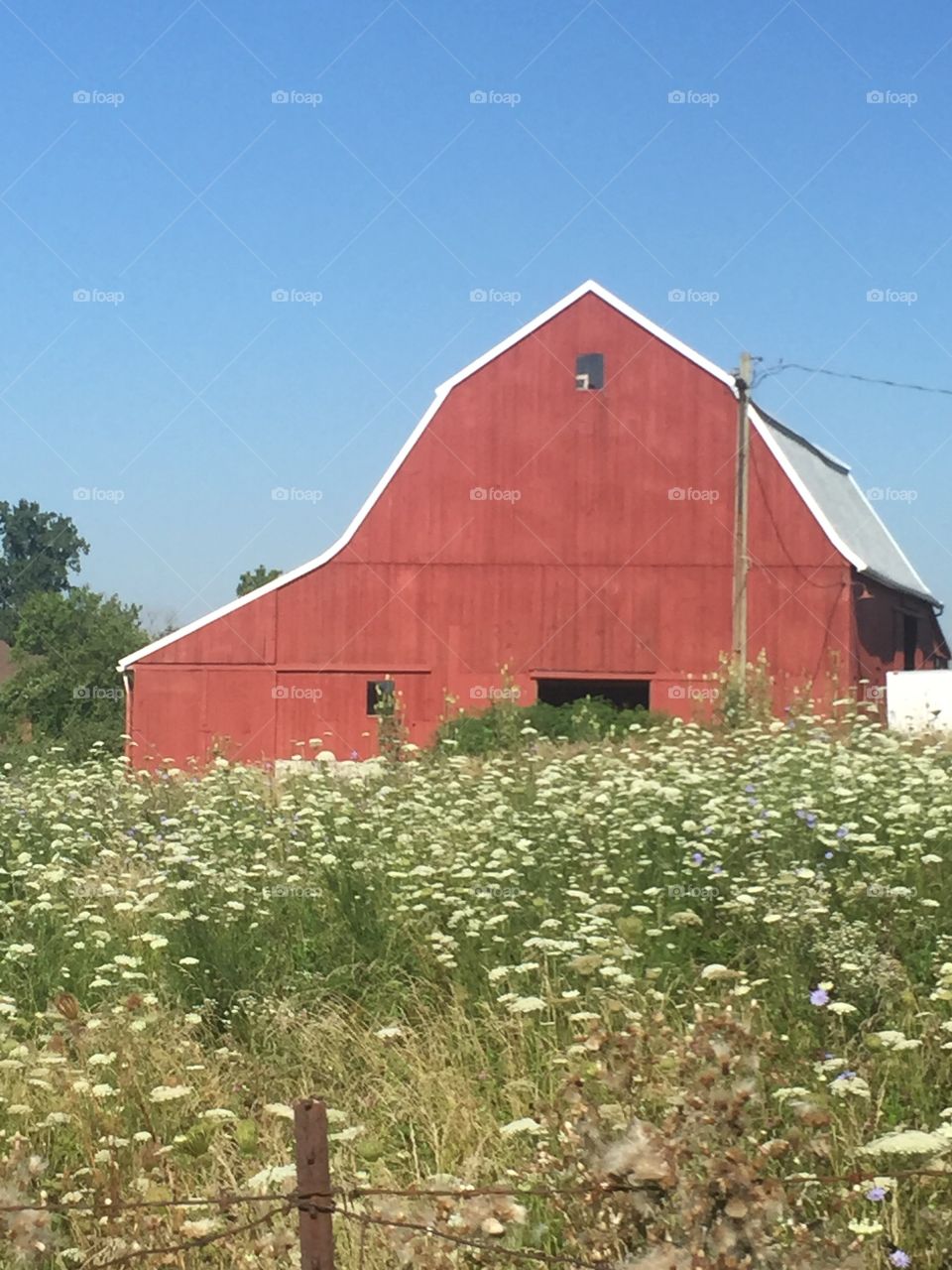 Red Barn