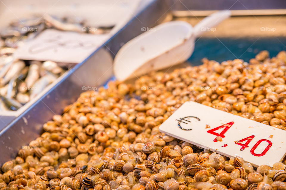 Close-up of sea food for sale