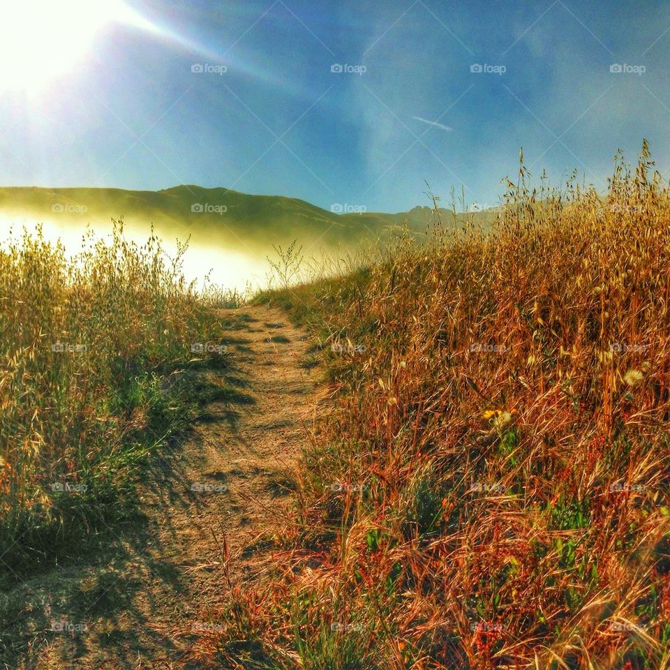 Big sur sunrise 