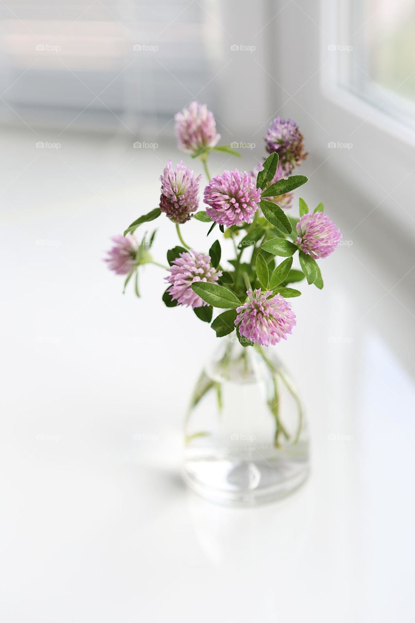 Bouquet of clover flowers in vase on windowsill
