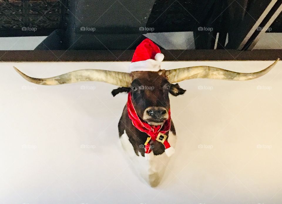 Santa Bull 🎄