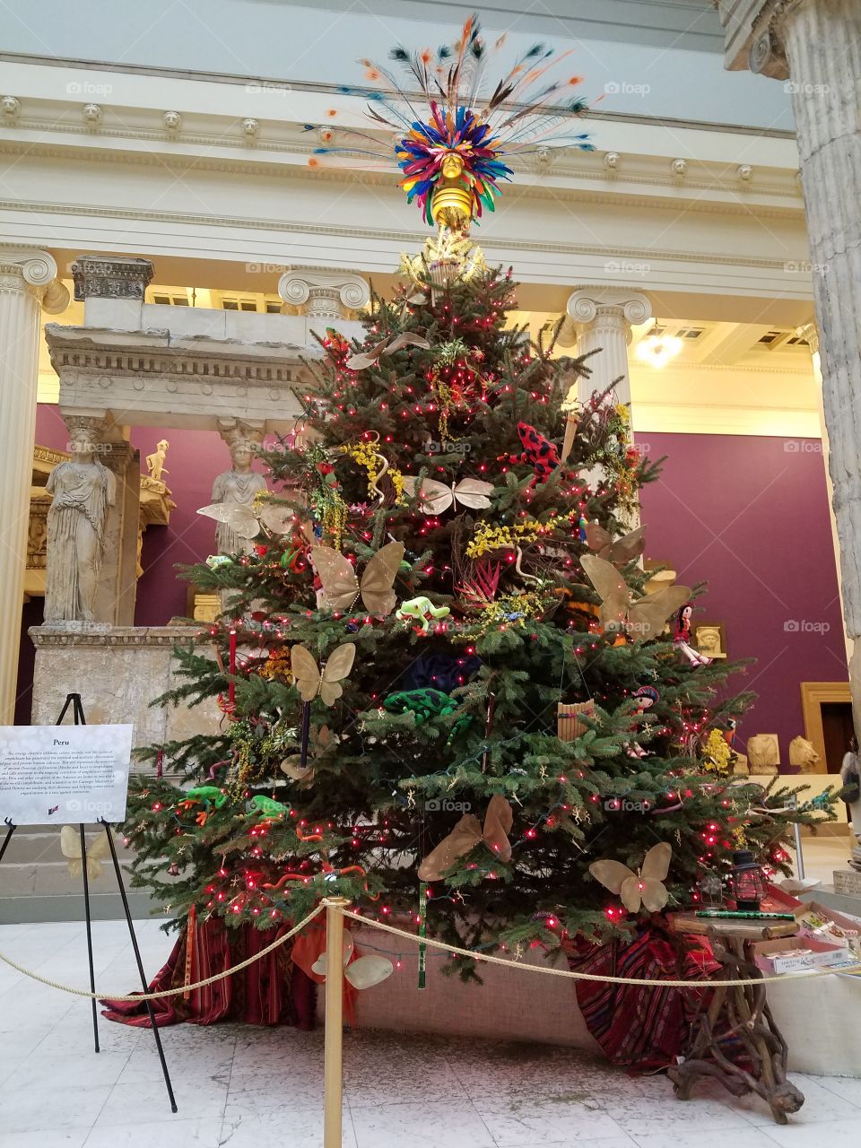 reptiles and butterflies tree