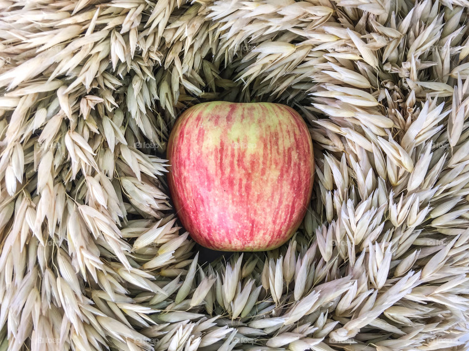 Apple on ears of grain