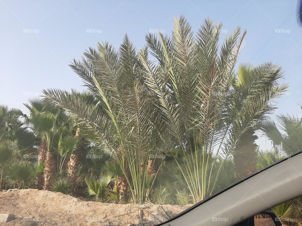 Please make me happy, I am poor, I need your help with support