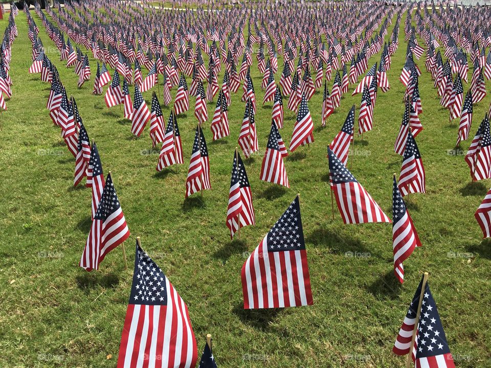 Flags for Memorial Day. 