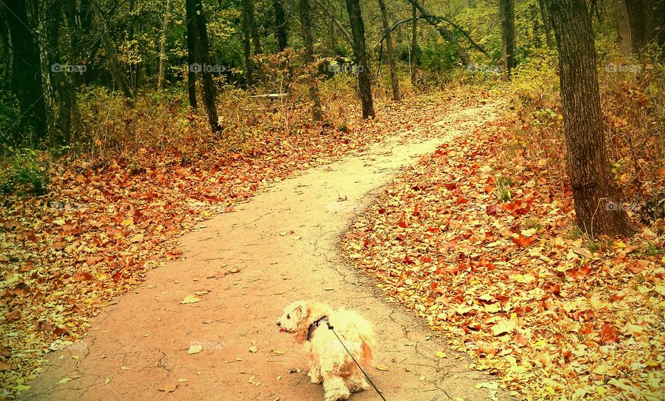 Minnie loving her Fall adventure
