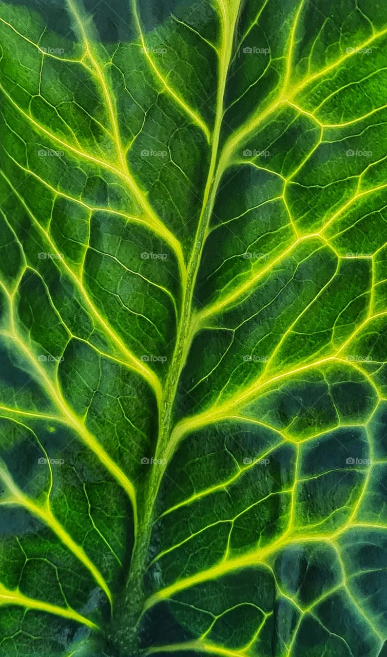 Like the lines in the palm of your hands
