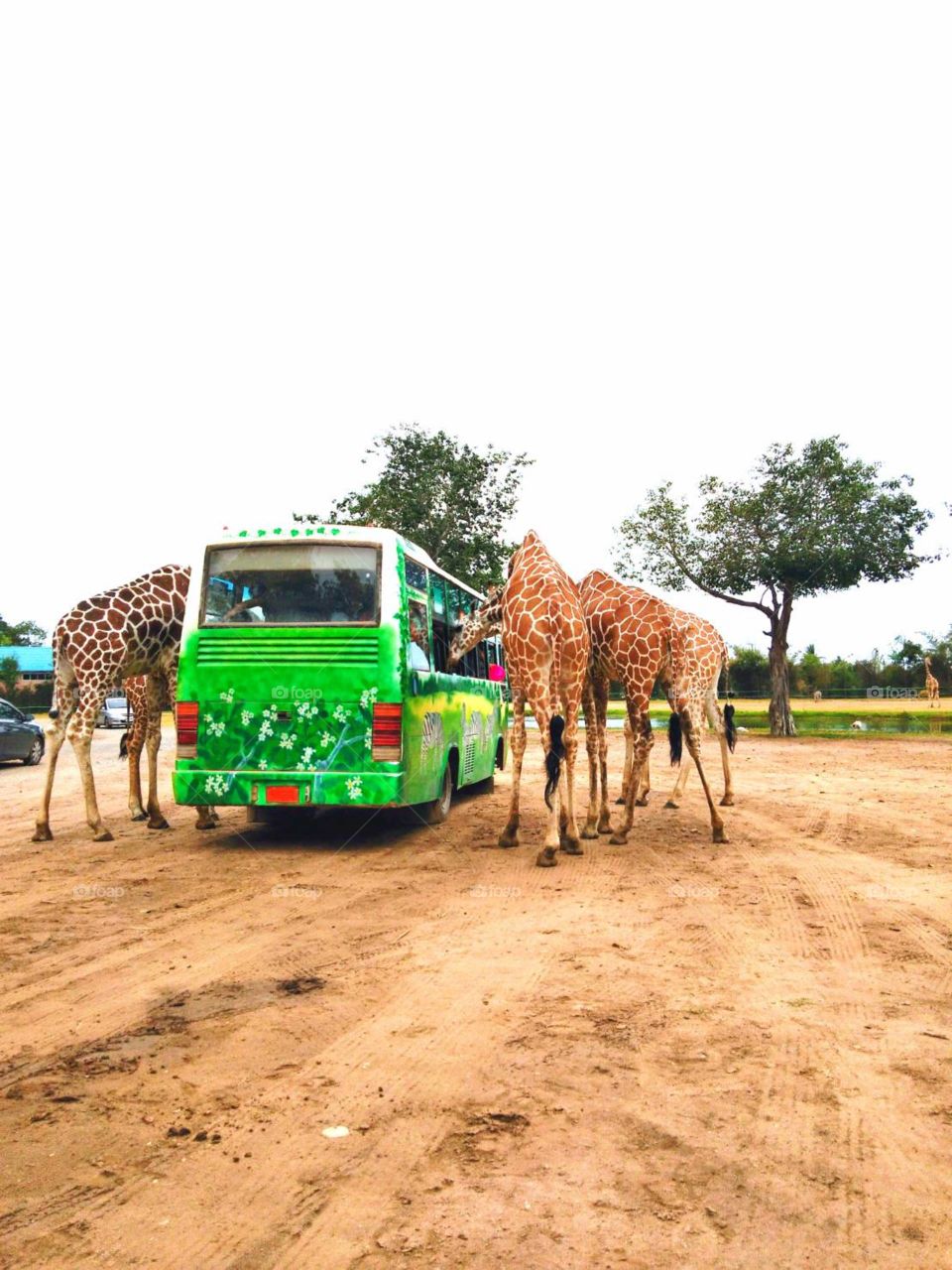 What are you doing???