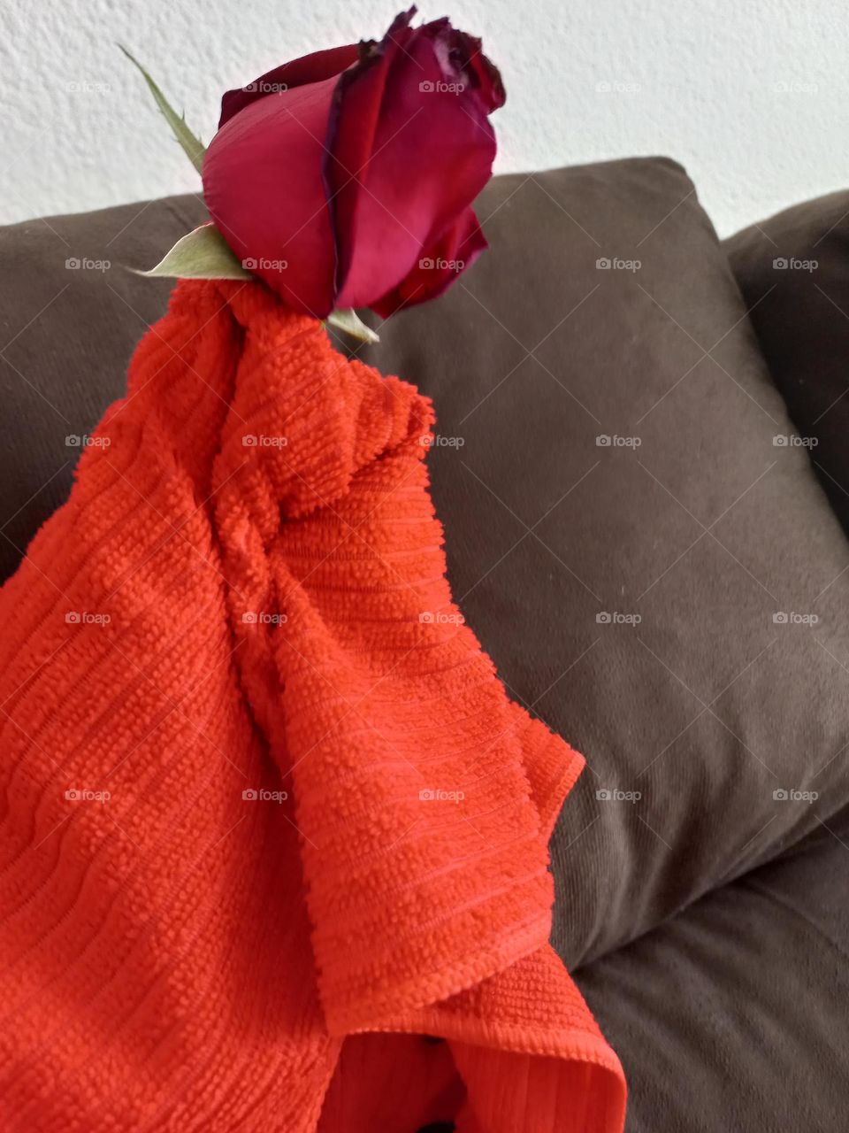 A rosa vermelha é o símbolo de beleza e romance, o renascimento e ligada à paixão e aos sentimentos. Com ela você pode transformar essa energia do fogo em algo positivo.