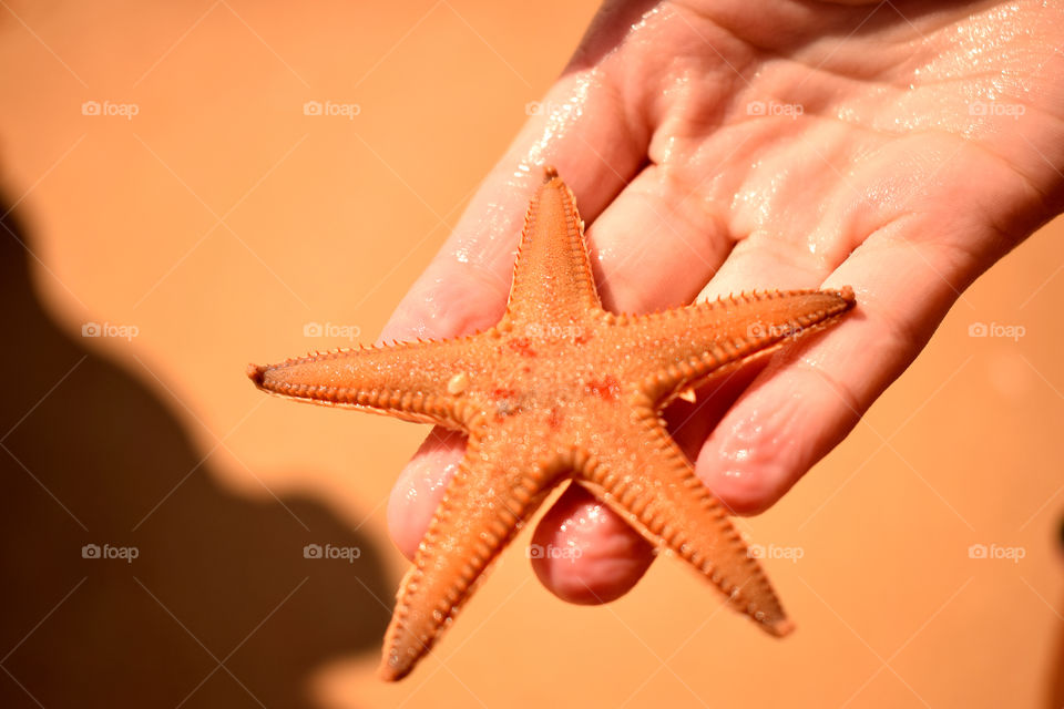 hand star