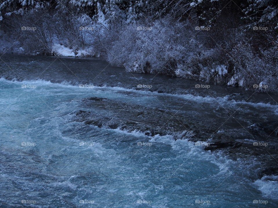 The magnificent Metolius River at Wizard Falls with a morning fog on a cold winter day. 