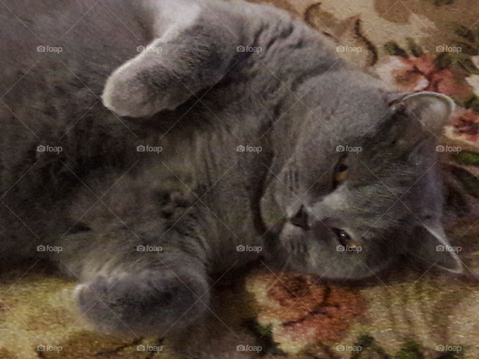 perfect imperfection