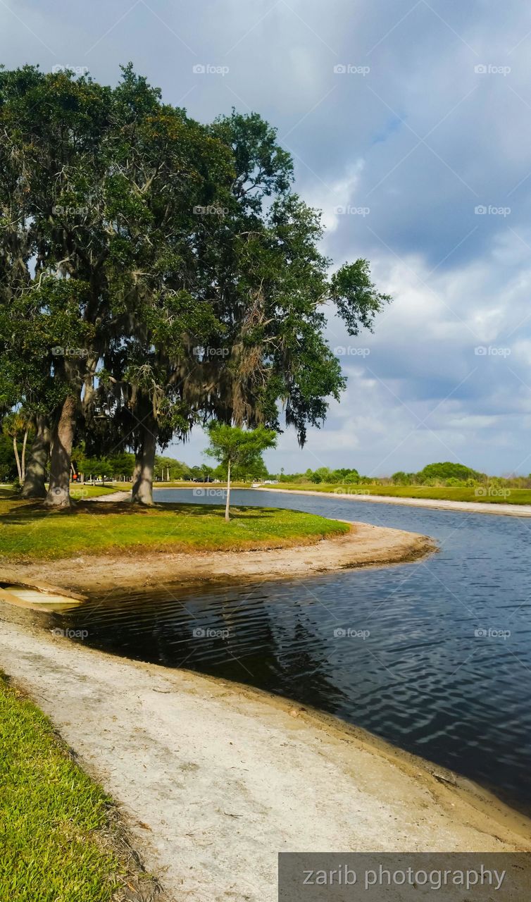 lake blending into the shore,  trees and brushes provide shadow and clouds blended in the sky.