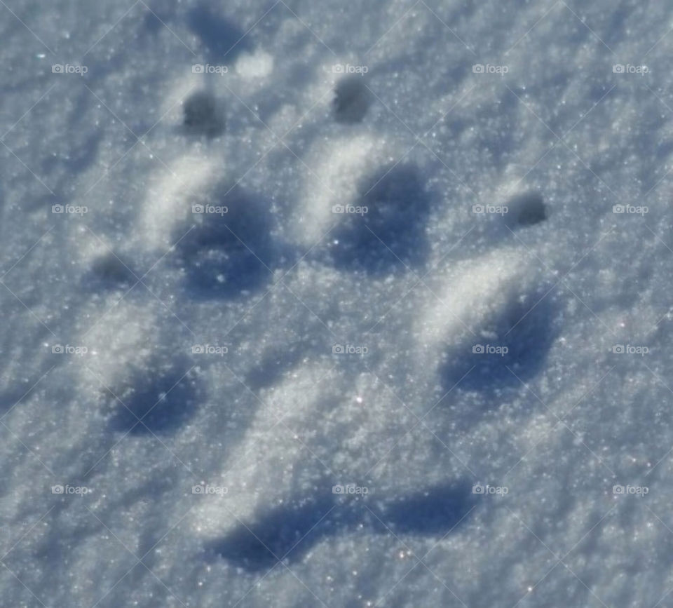 snow winter ice snö by paula