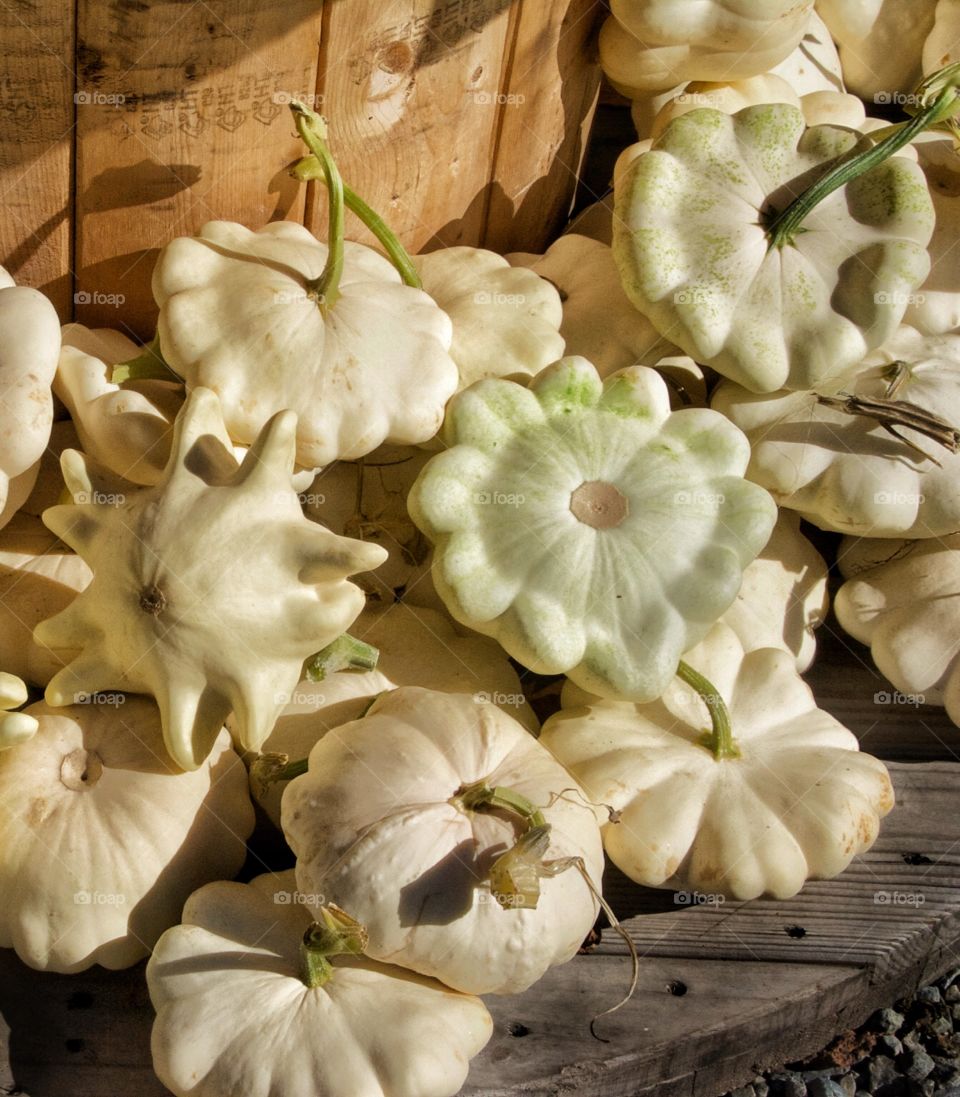 White pumpkins