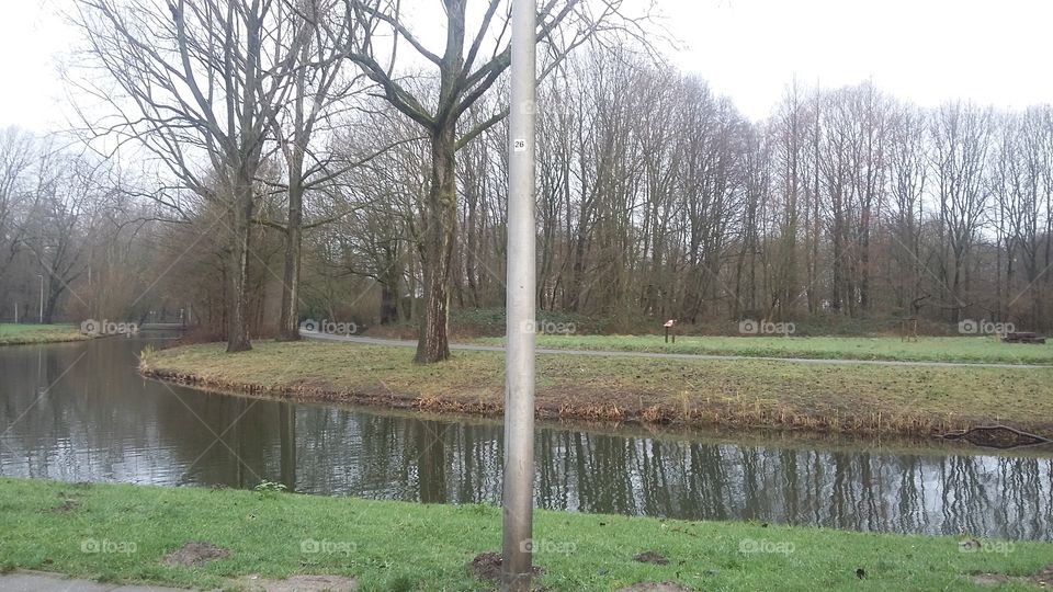 Piece of nature and water in spijkenisse