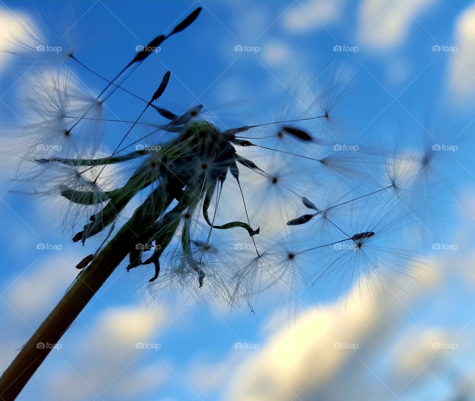 Perfection-imperfections