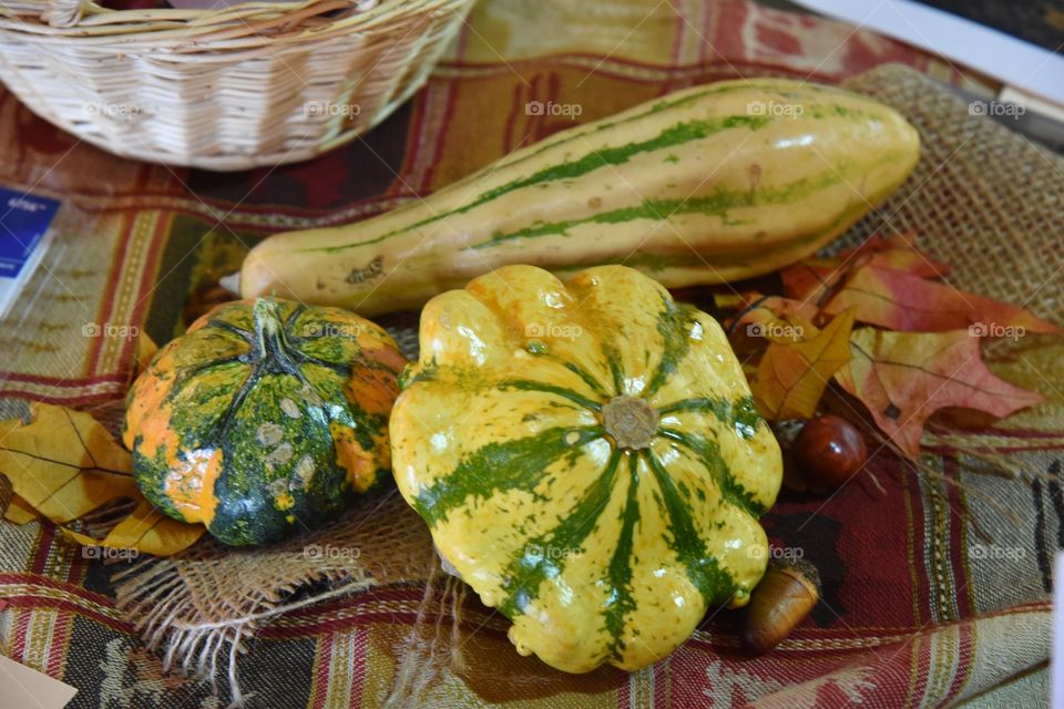 Fall Gourds