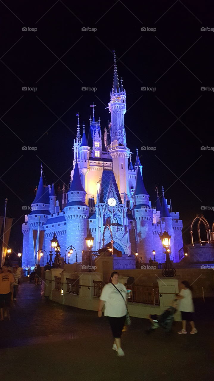 Cinderella's Castle at Night