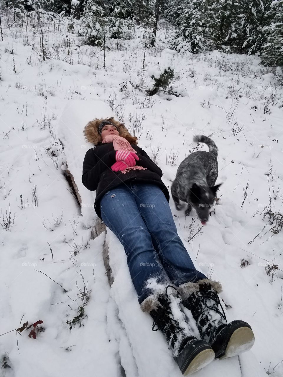 winter, snow, frozen, cold, dog, girl, wilderness