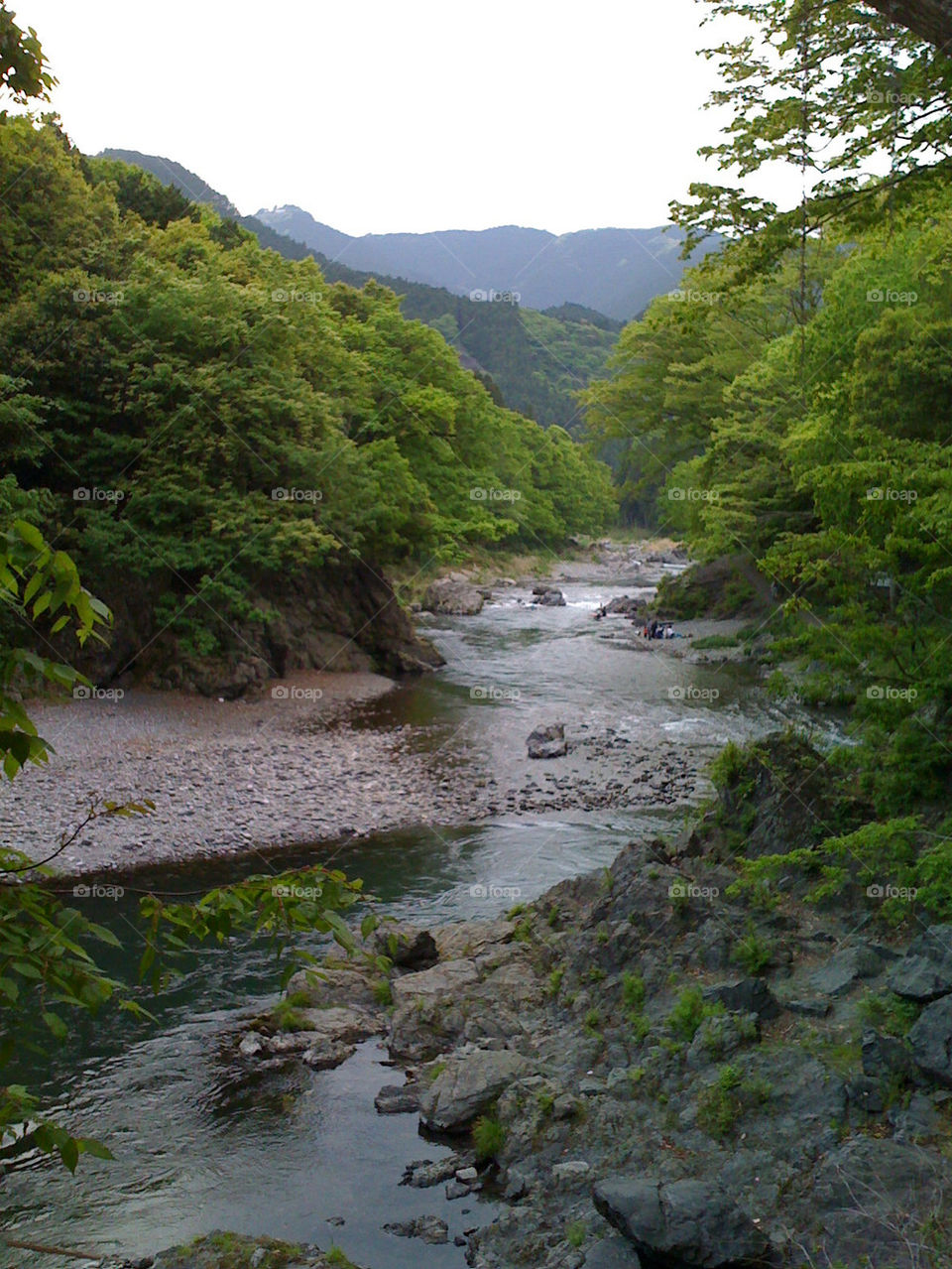 river japan stream okutama by nkokimura
