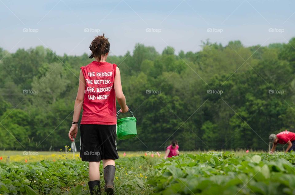 day on the farm