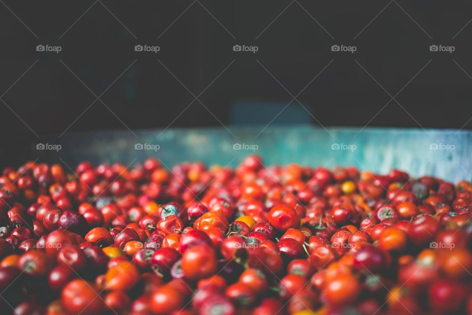 won Twenty-twenty mission.