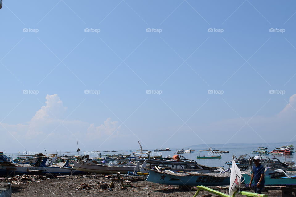 natural landscape at the beach