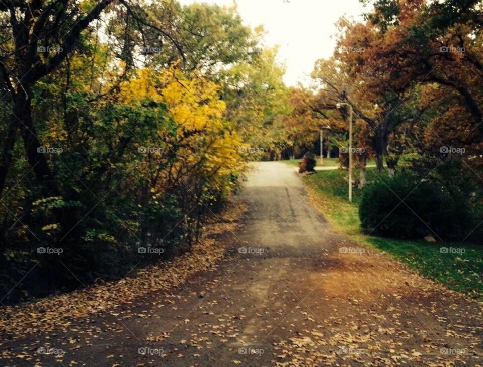 Fall Country road