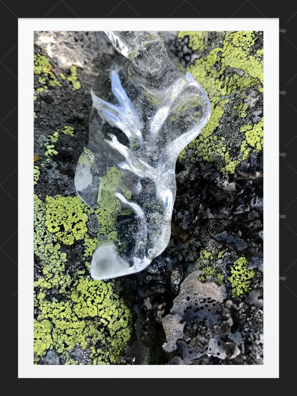 Moss, Ice and Stones 