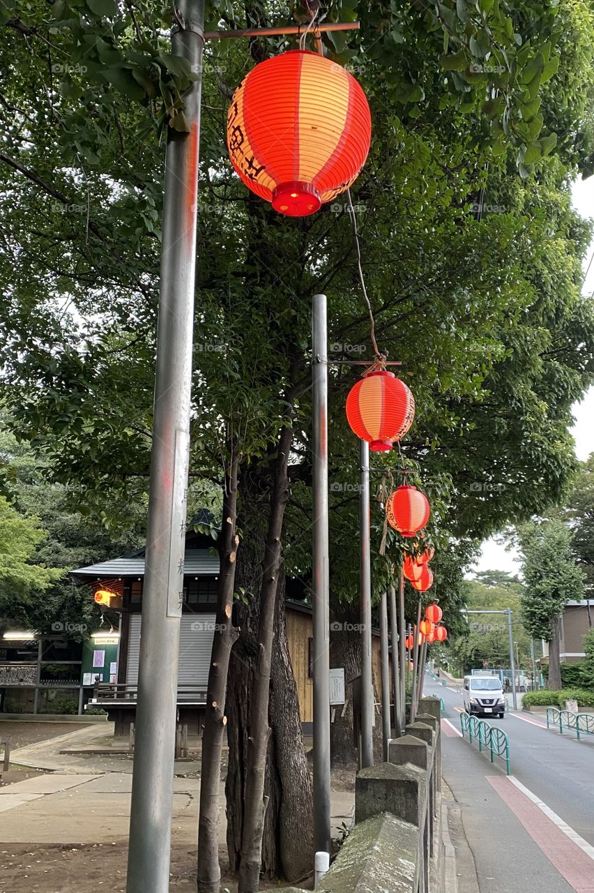 Shrine summer festival lanterns 