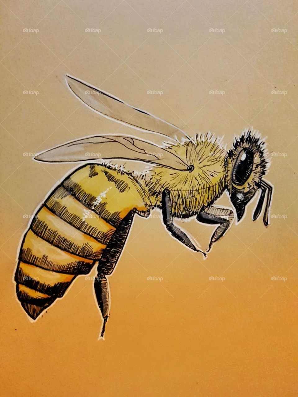 Bee sketch