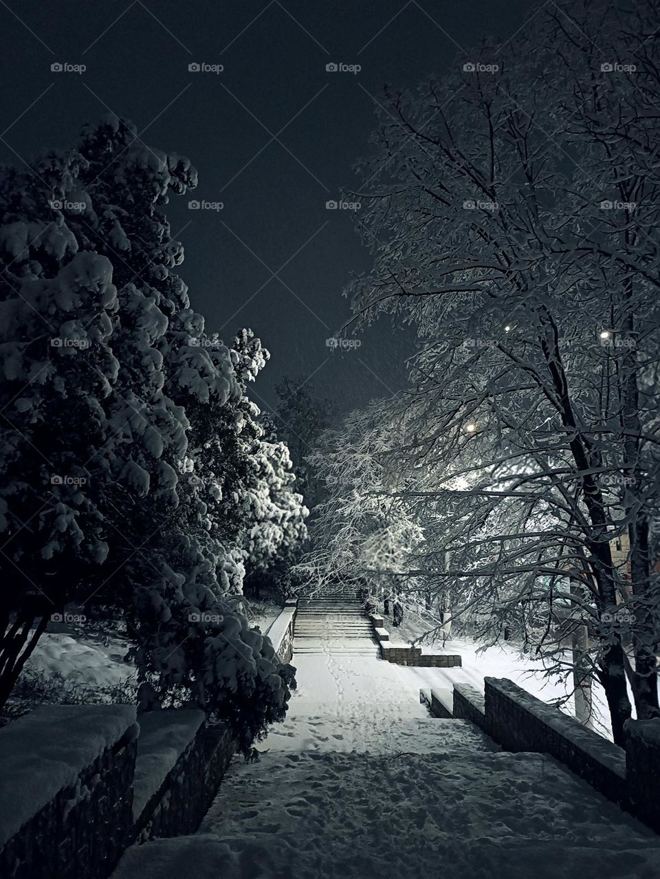 Deserted Winter Staircase