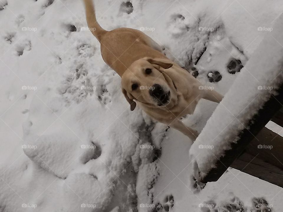 My boy in the snow.