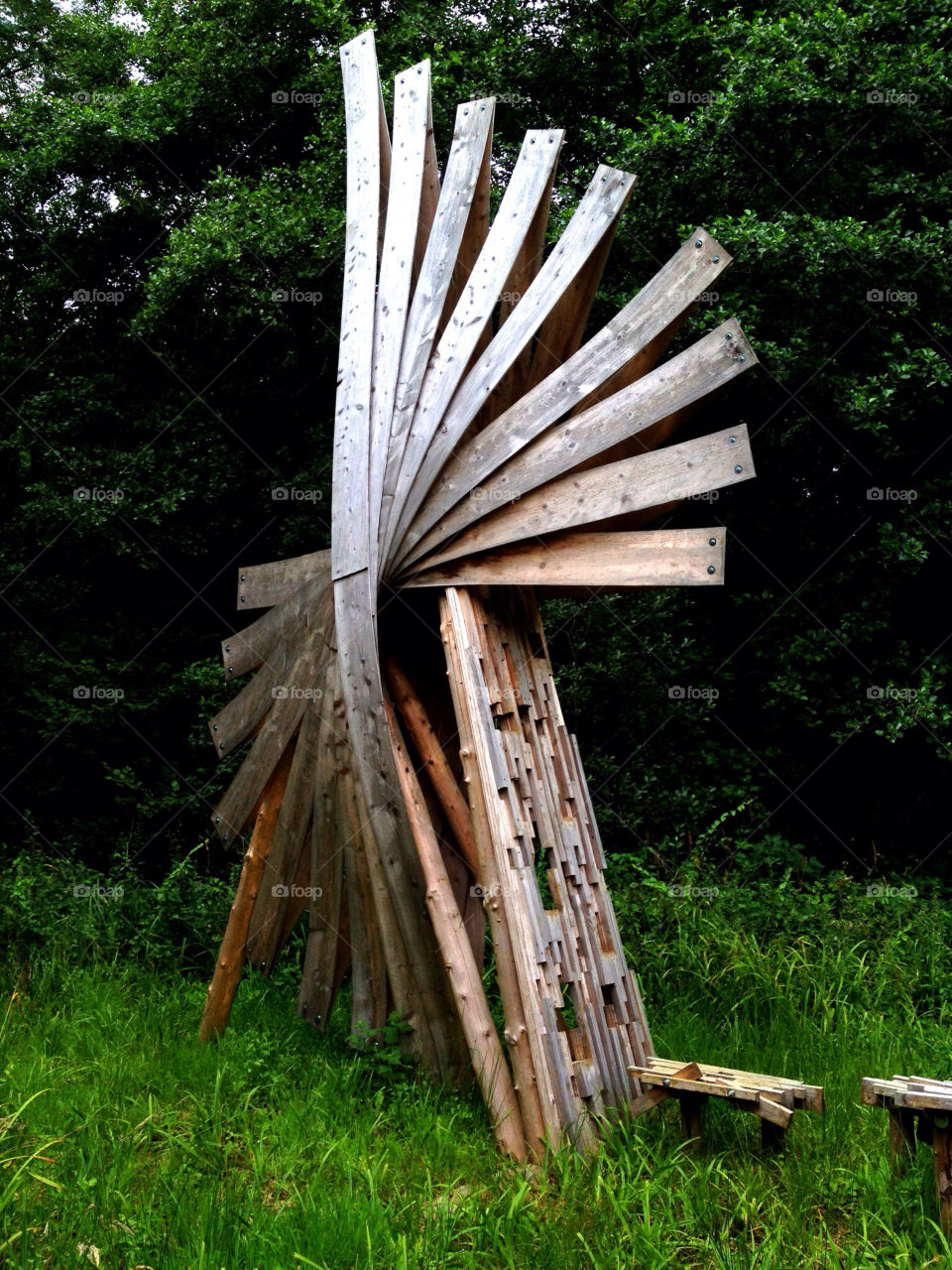 green dorset trees forest by dannytwotaps