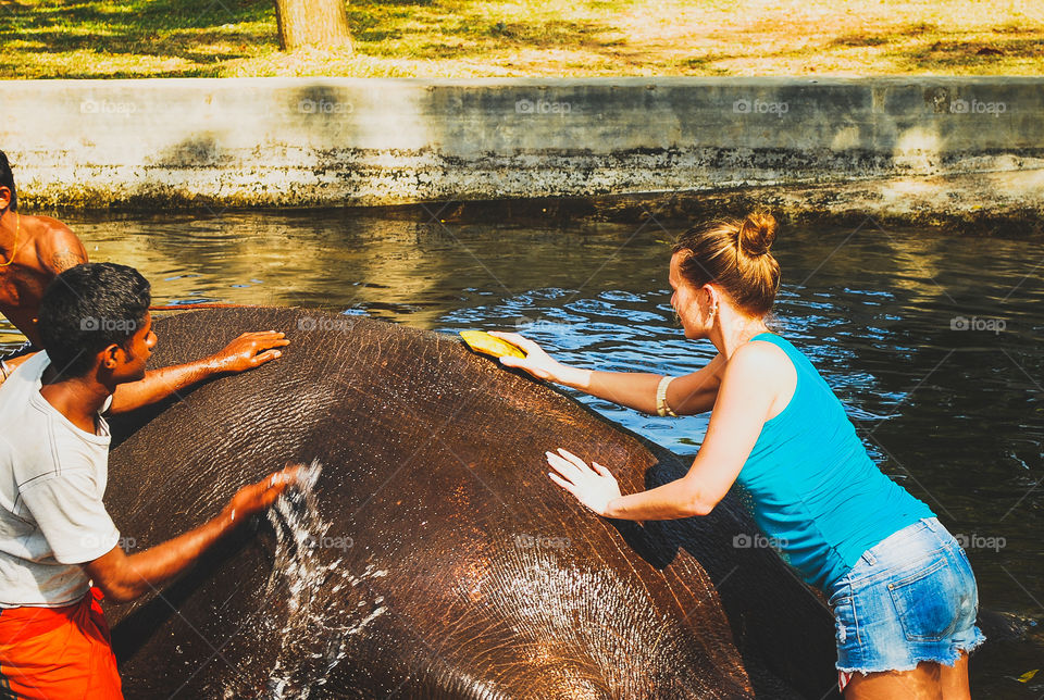 Elephant cleaning process 