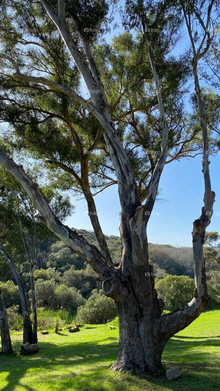 Take me to the skies above