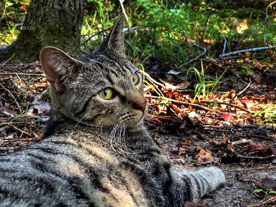 Benjamin Linus Looking Back