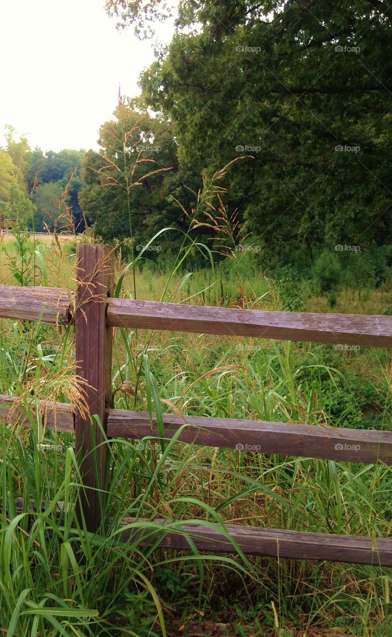 Wooden fence