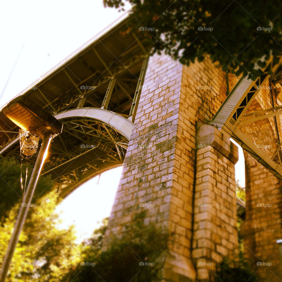 sky blue travel trees by muffty12