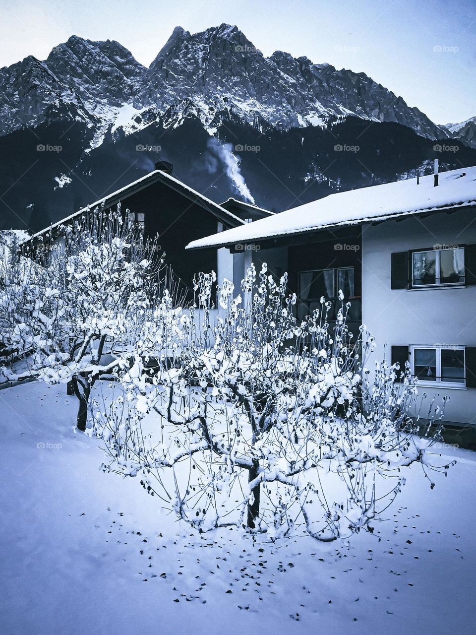 A snow-covered landscape with a house and leafless plants in the foreground, and snow-capped mountains in the background