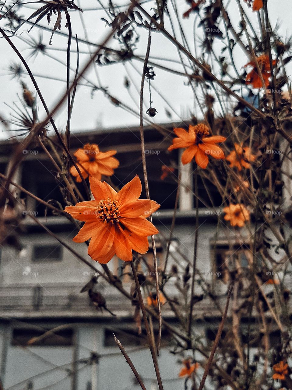 Staying bright amidst the winter