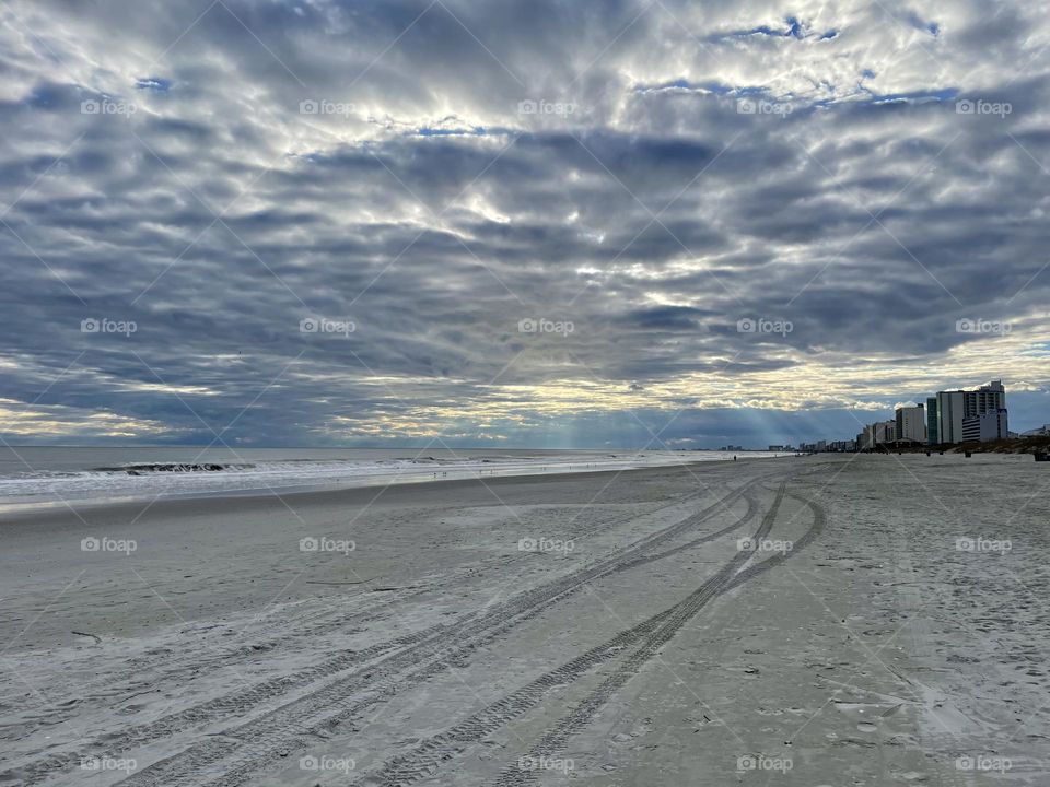 Tracks in Sand