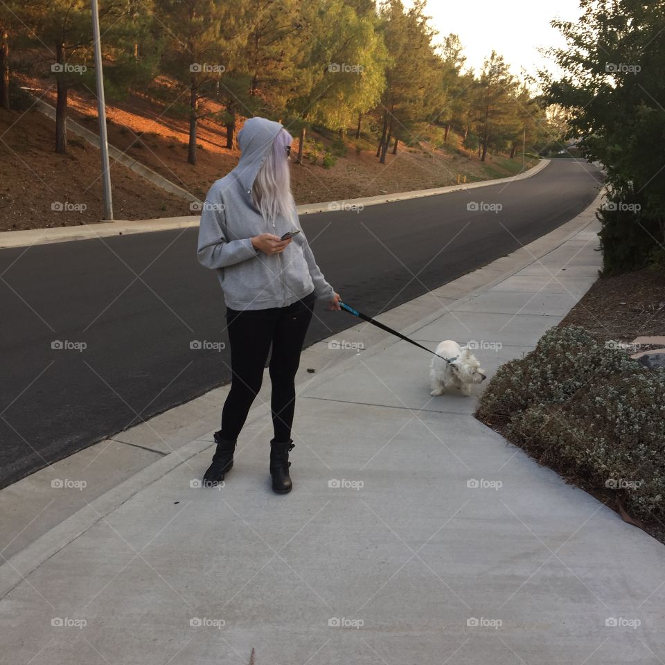 dog walker