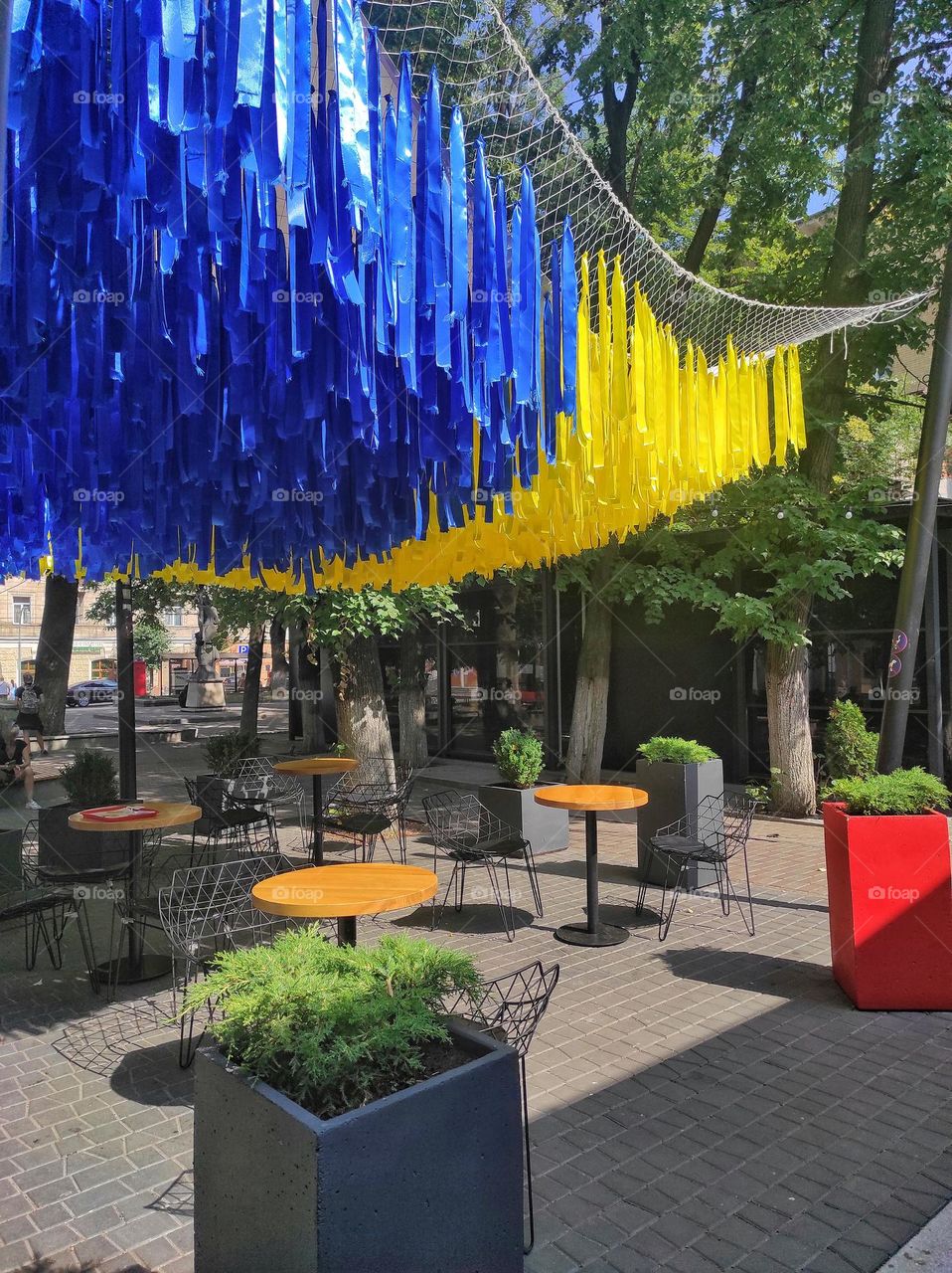 Сolors of freedom and Independence