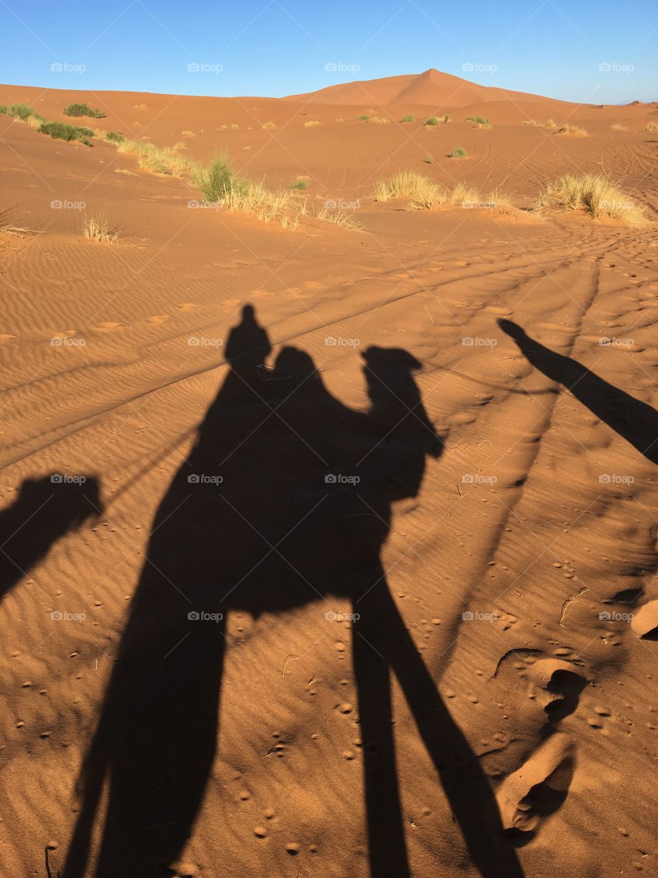 Desert, Shadow, Sunset, Landscape, No Person